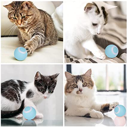Automatic Rolling Pet Ball