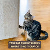 6pc Pet Scratch Protector Bundle
