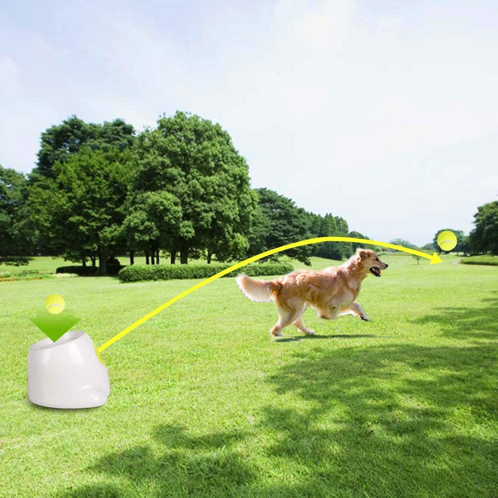 Automatic Ball Thrower