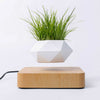 Load image into Gallery viewer, 🌱Levitating Plant Pot